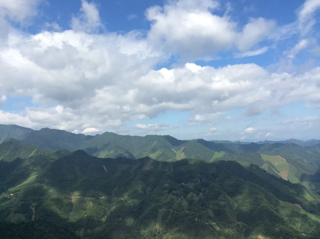 风景