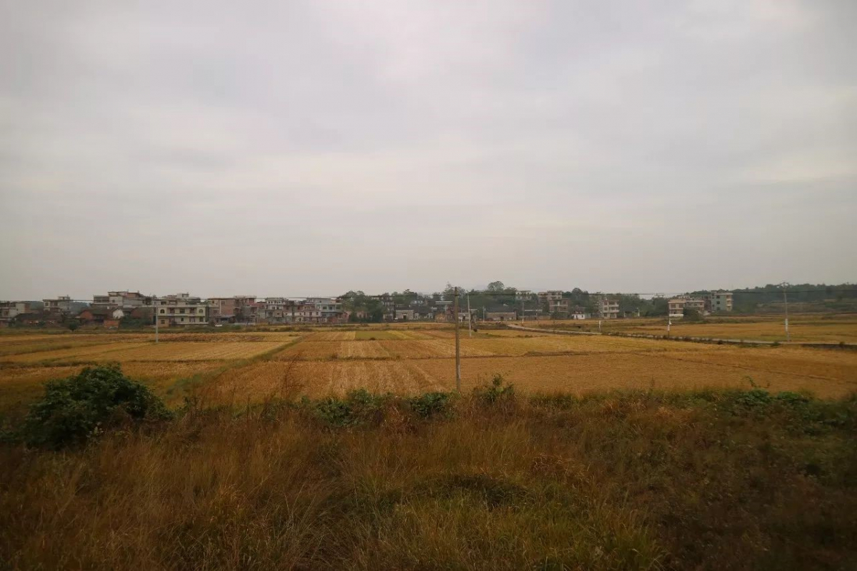远眺兴桥村