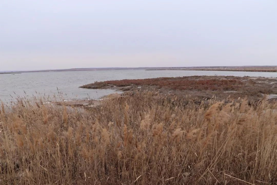 花马池